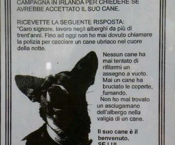 Delfino Casa de Férias San Foca